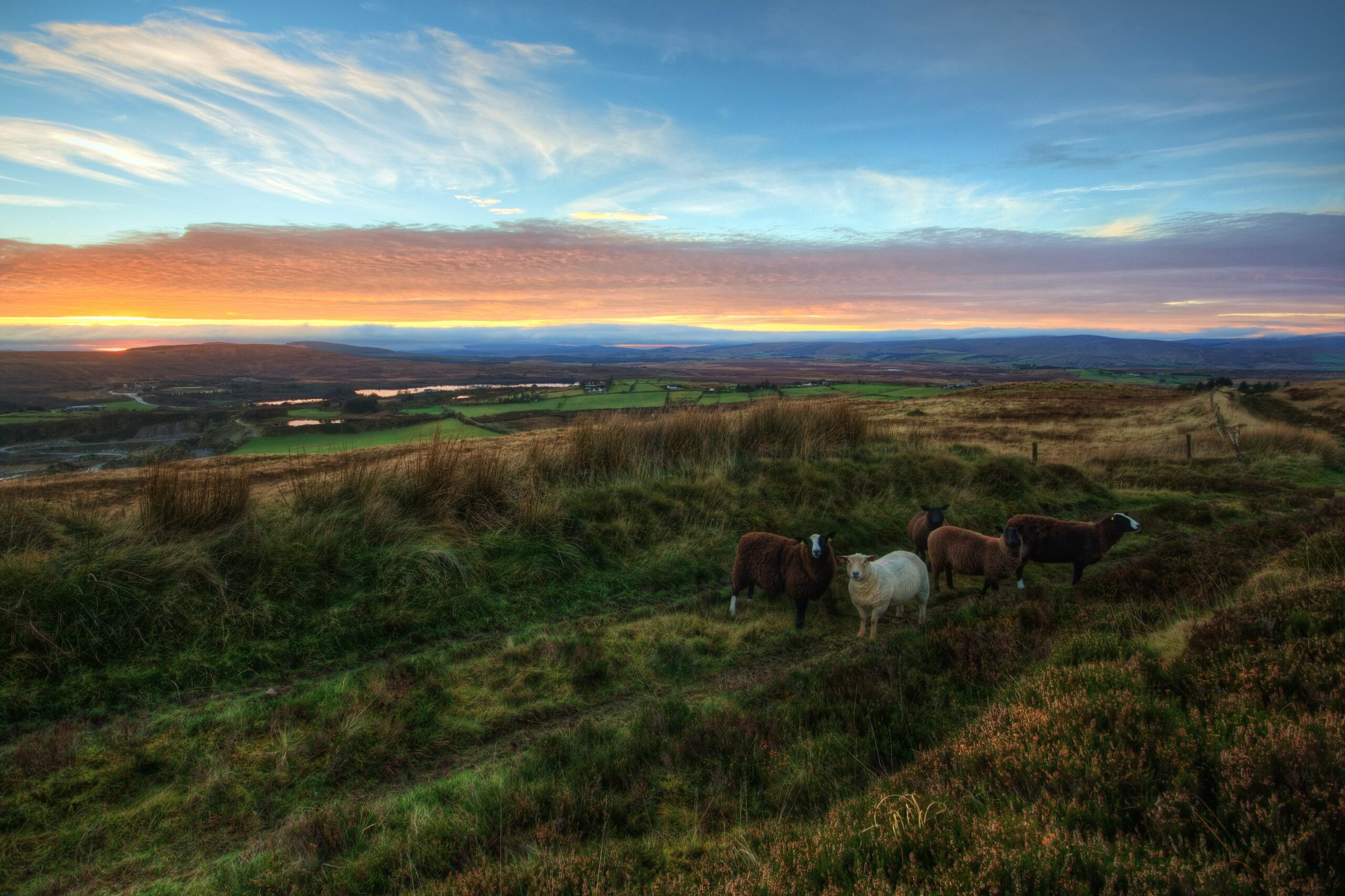 Buying a Plot of Land in Ireland