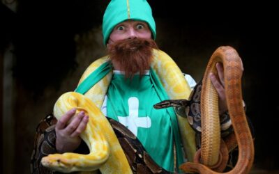 Are Snakes Allowed in Ireland