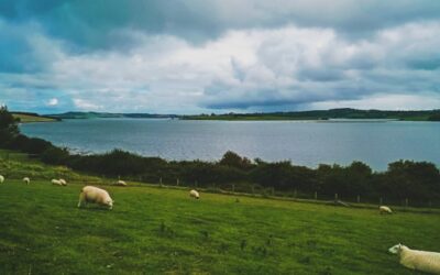 Discover the Best Lakes in Ireland for Fishing and Scenic Views