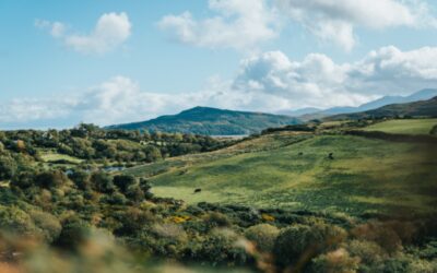 Ireland in August: The Best Time to Explore the Emerald Isle’s Summer Charm