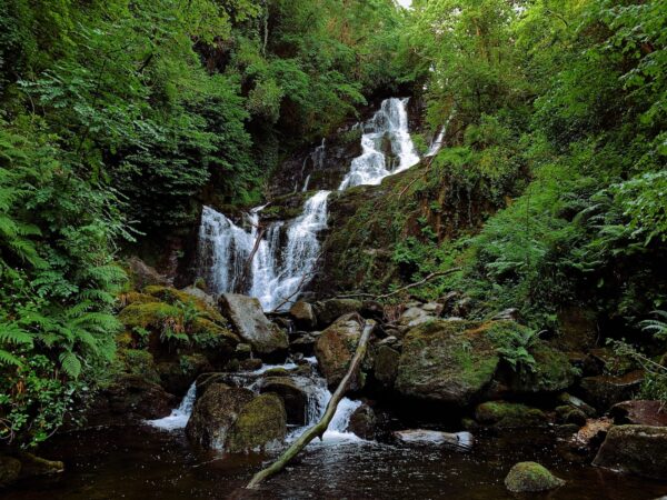 a waterfall in a forest