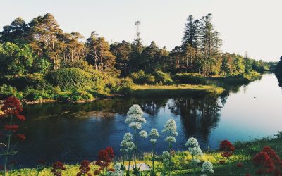 Ireland in October: What to Expect and Where to Go