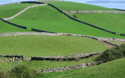 Exploring Galway’s Stone Walls: Uncovering the History of Ancient Ireland