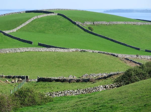 a grassy field with a stone wall in the middle