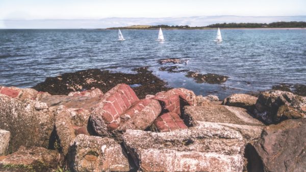 three white sailboats on sea