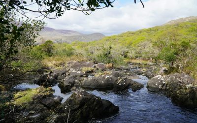 The Beauty of Ireland’s National Parks: Exploring Natural Wonders Beyond Dublin