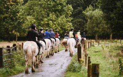 Horse Riding Adventures in the Irish Countryside: Exploring Cavan’s Scenic Trails and Traditions