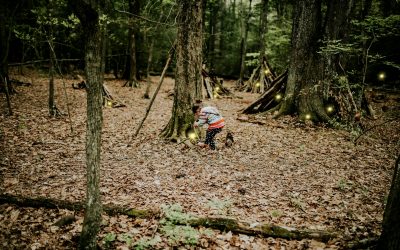 Exploring the Mystical Fairy Trails of County Cork: A Whimsical Adventure Guide