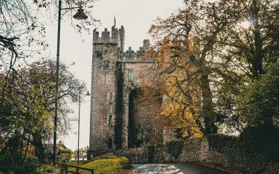 Discover Bunratty Castle & Folk Park: A Must-See Irish Gem