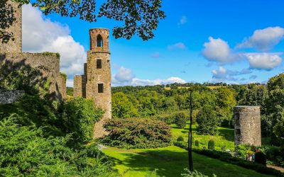 Exploring Blarney Castle: A Worthwhile Trip or Tourist Trap?