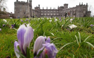 Discover Kilkenny Castle: A Comprehensive Guide to Its Seasonal Opening Times and More