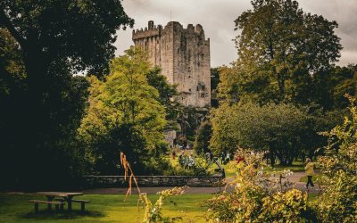 Ultimate Guide to Blarney Castle: Costs, Tips & Nearby Attractions