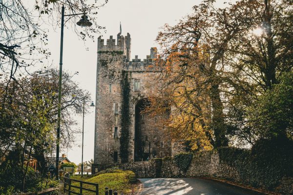 an old castle with a gate and trees around it