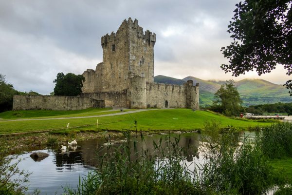 castle near pond during day