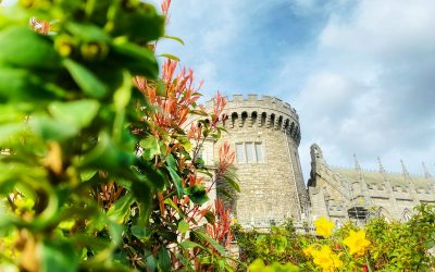 Top Castles for a Day Trip Near Dublin, Ireland: A Complete Guide