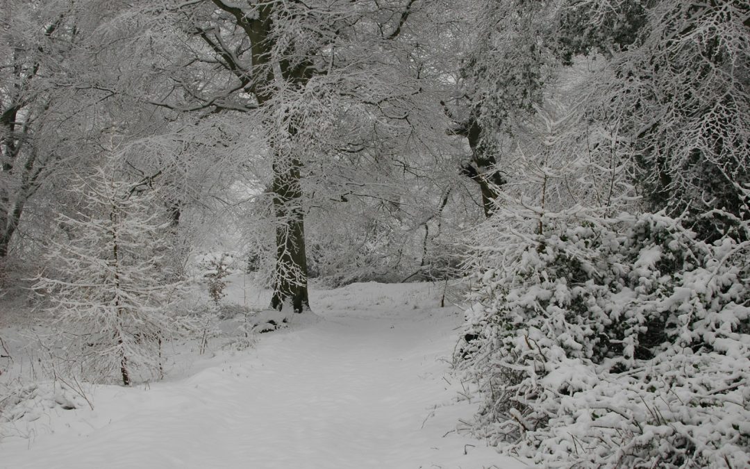Top Winter Activities in Ireland: Festive Events, Scenic Hikes, and Cozy Retreats