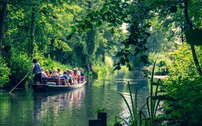 Sustainable Travel in Ireland: Eco-Friendly Tips for Visitors